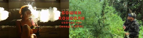 ALPHA PVP Белокуриха