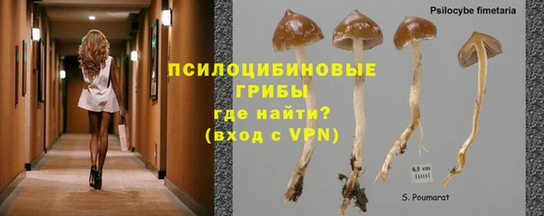ALPHA PVP Белокуриха