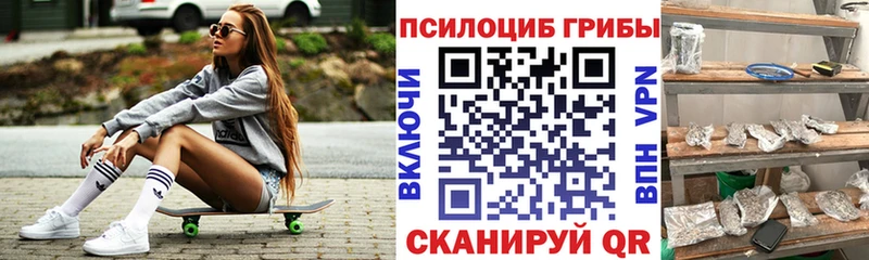 Псилоцибиновые грибы MAGIC MUSHROOMS  где купить наркотик  Маркс 